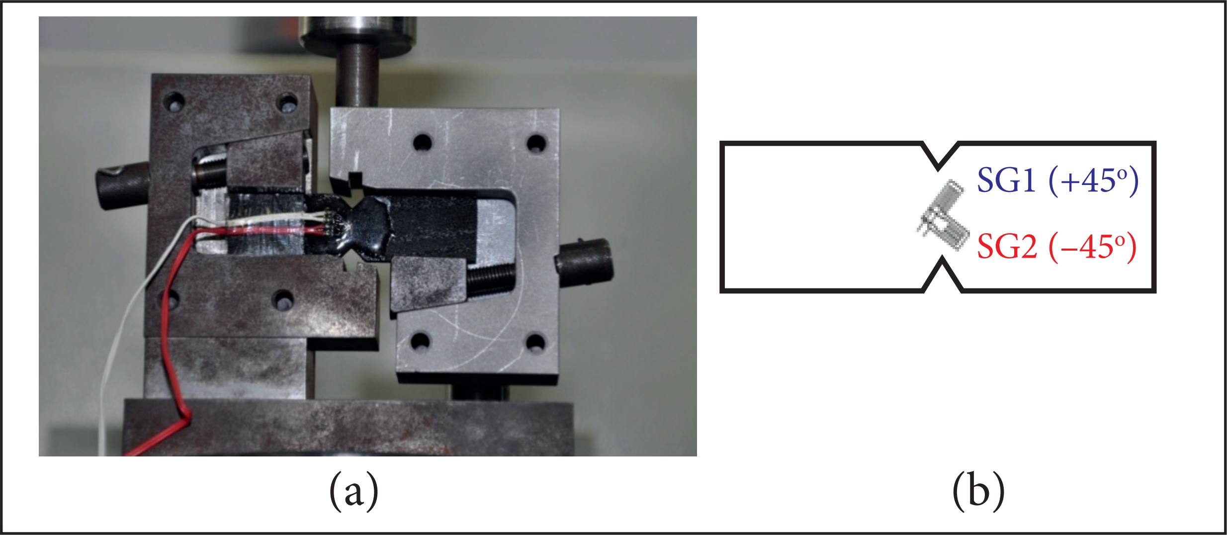 (a) Iosipescu fixture and sample attached to it for testing; (b) Positioning of strain gages in the sample geometry.