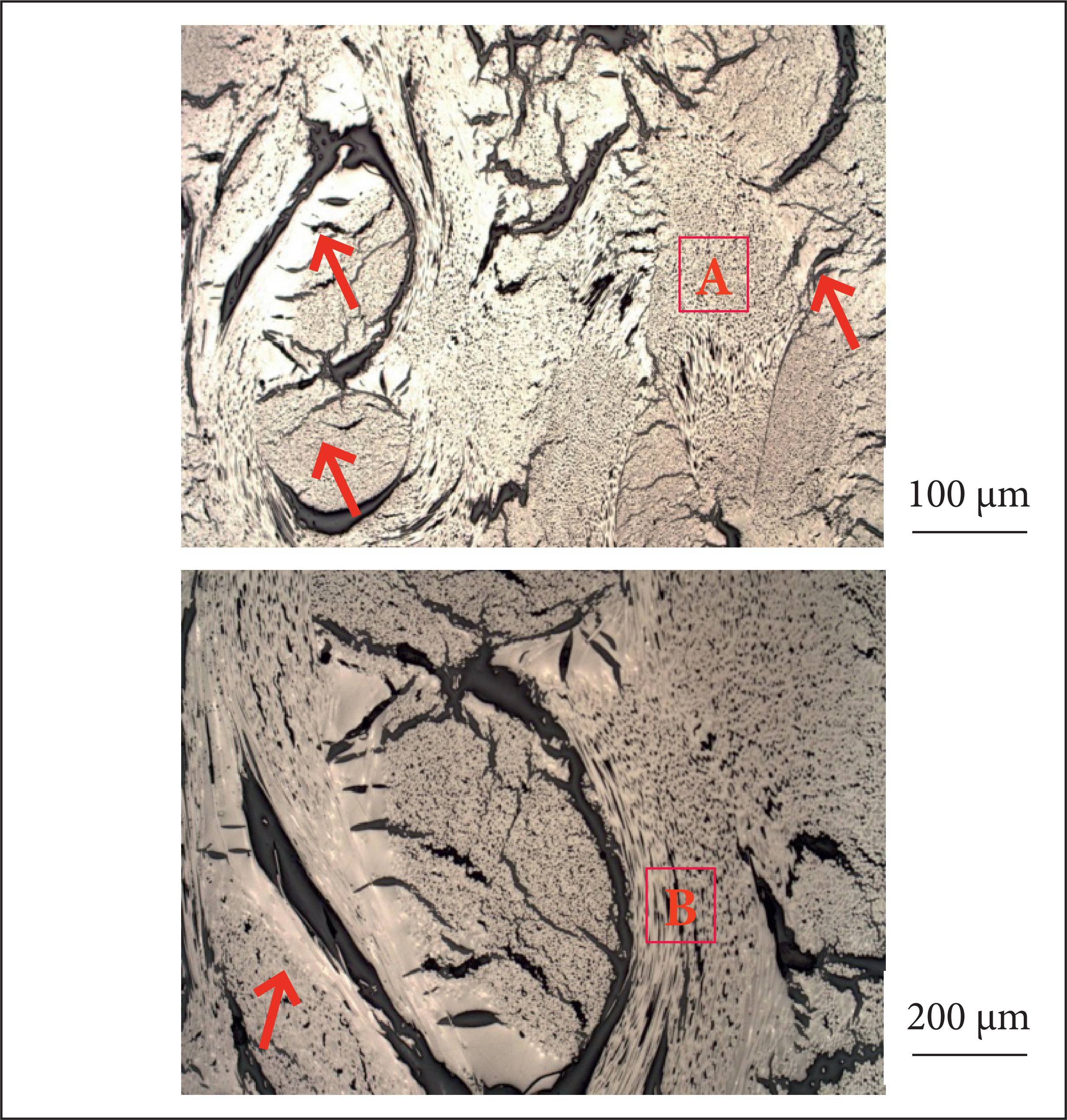Photomicrographs of the pristine carbon fiber/phenolic resin composite.