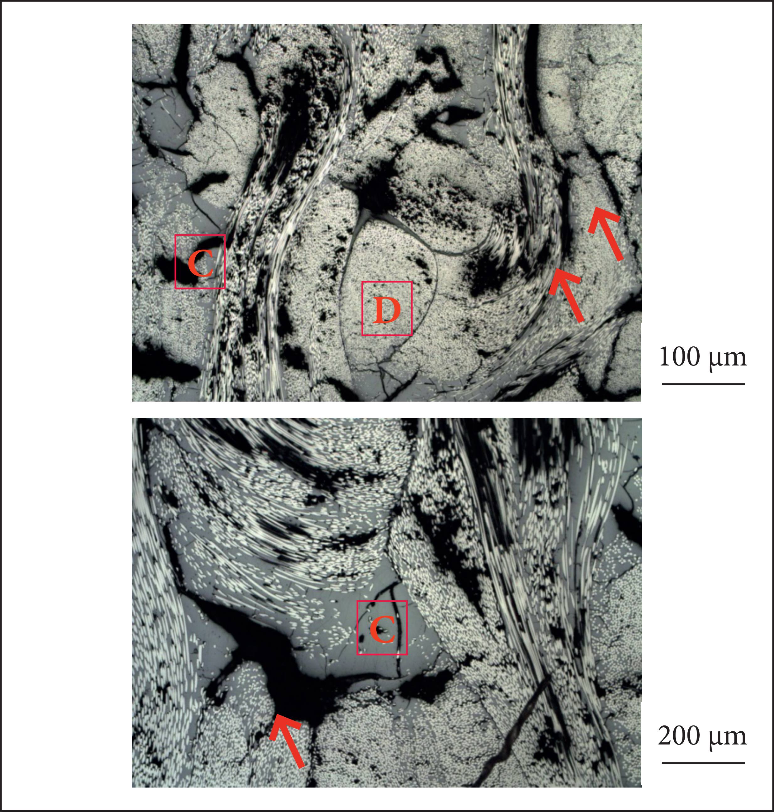 Photomicrographs of the 500 °C treated samples.