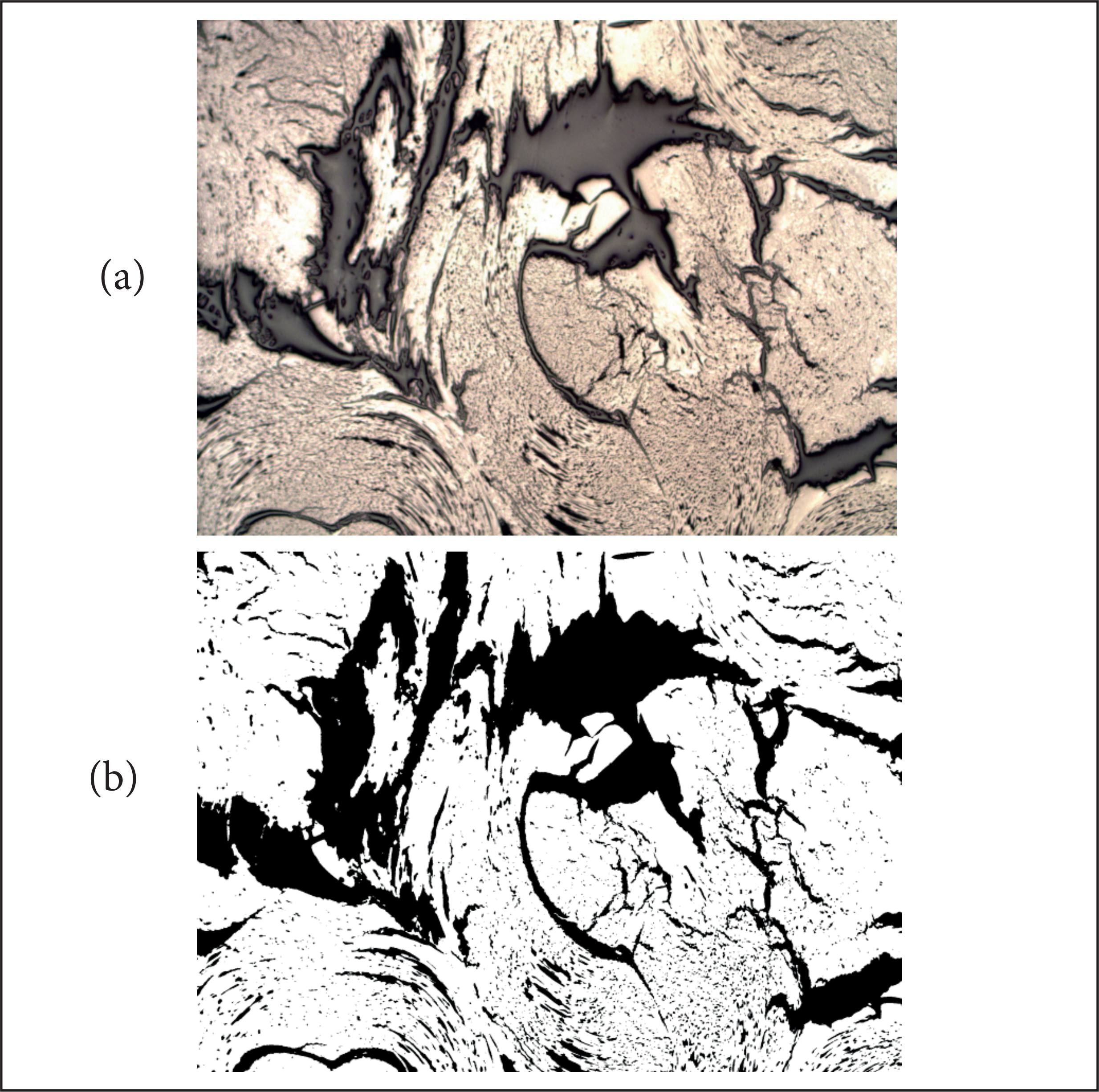 (a) Photomicrograph of a region of the sample; (b) Image from Image J treated area.