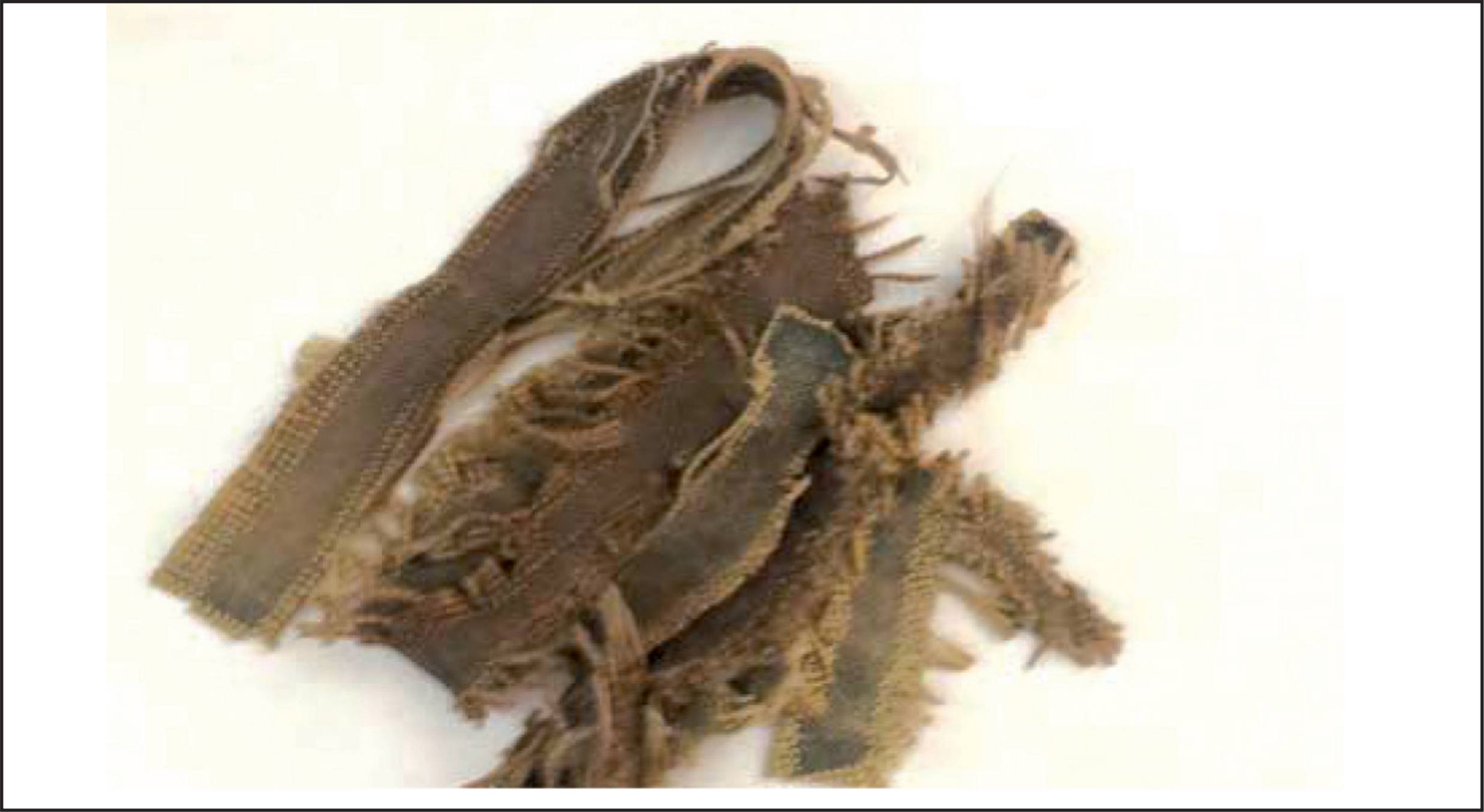 Material after mechanical washing.