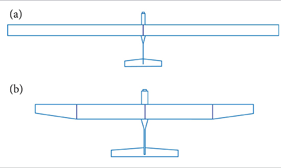 (a) Single row of cells &mdash; high-aspect-ratio wing (Type 1); (b) Two rows of cells &mdash; medium-aspect-ratio wing (Type 2).