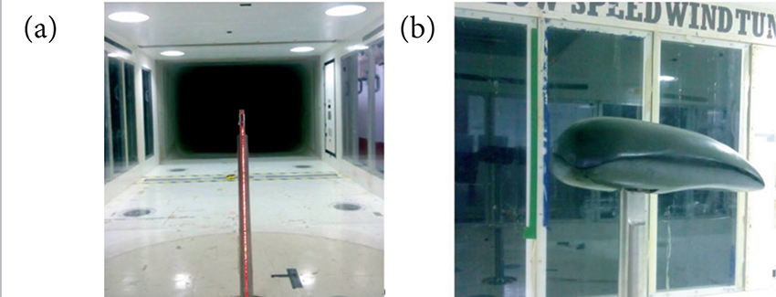 Pictorial view of W1M0 and W1M1 tests. (a) Strut alone test; (b) Model attached inside the test section.