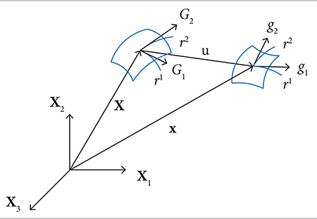 Base vectors of the middle surface.