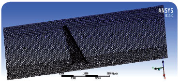Meshed view of the wing model with control volume.
