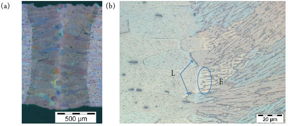 (a) Micrograph of the sample E cross section; and (b) region next
								to the fusion line of sample E, showing liquation (L) and epitaxial
								growth (E).