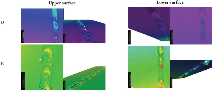 3D surface rendering of the upper and lower surfaces for the
								samples D and E.