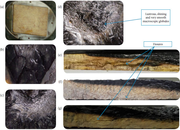 The surface morphology of SSF/MRR composite ablated
									specimens: (a) before ablation; ablated surfaces of (b) 40 wt.%,
									(c) 55 wt.%, and (d) 65 wt.% ablated specimens, respectively;
									and cross-sections of (e) 40 wt.%, (f) 55 wt.%, and (g) 65 wt.%
									ablated specimens composite, respectively.