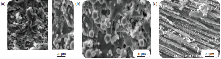SEM micrographs of SSF/MRR composite specimens surface
									morphology after ablation: (a) very porous surface with craters
									and pits; (b) very porous surface with non-identified globules;
									and (c) surface with traces of bared fibers.