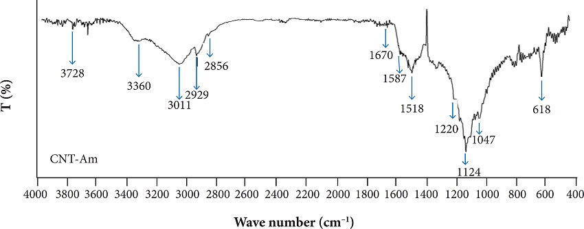 FT-IR spectrum of CNT- Am.