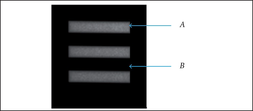Area where the data were collected for each line pairs.