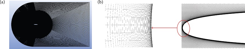 (a) Computational grid; (b) close-up view.