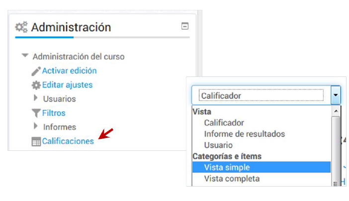 Acceso al espacio en el que se dise&ntilde;a el sistema de calificaci&oacute;n