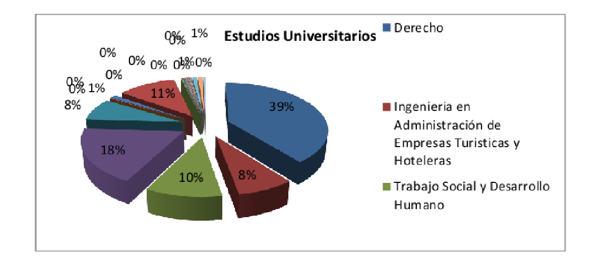 Figura 1. Muestra
desagregada conforme a los estudios universitarios cursados