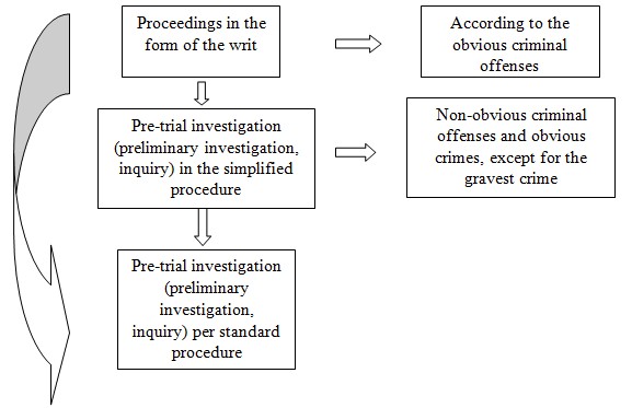 Figure 1.
Scheme of the pre-trial investigation