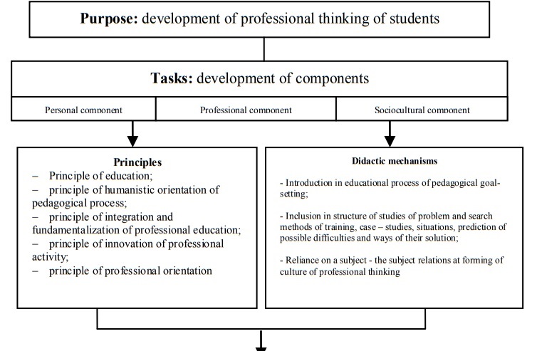 The model of development of professional
thinking at students in higher educational institution