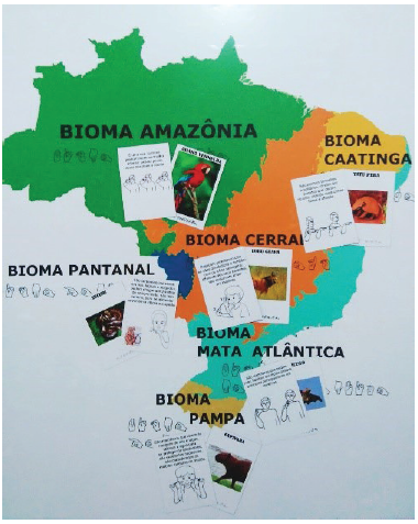 Mapa de Biomas e cartas
utilizadas para a atividade l&uacute;dica