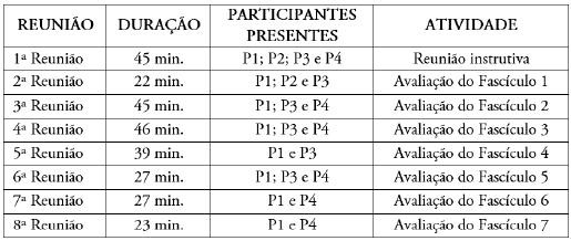 Informações a respeito das reuniões do grupo focal.