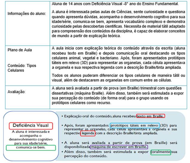 Plano 1: elaborado pela participante C2 e síntese de sua adaptação