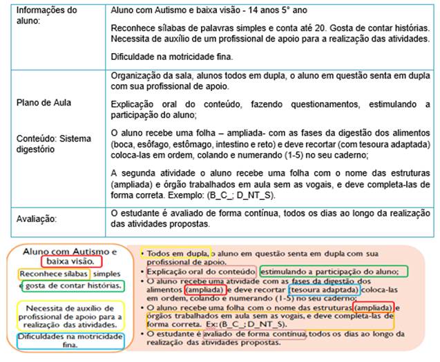 Plano 3: elaborado pela participante P2 e síntese de sua adaptação