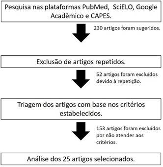 Organograma do processo de escolha dos artigos