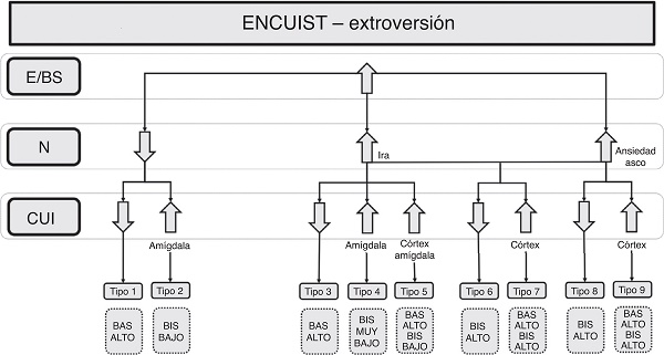 Árbol de decisión desde la variable extroversión. E/BS: extroversión/búsqueda de sensaciones; N: neuroticismo; CUI: insensibilidad emocional, impulsividad/agresividad.