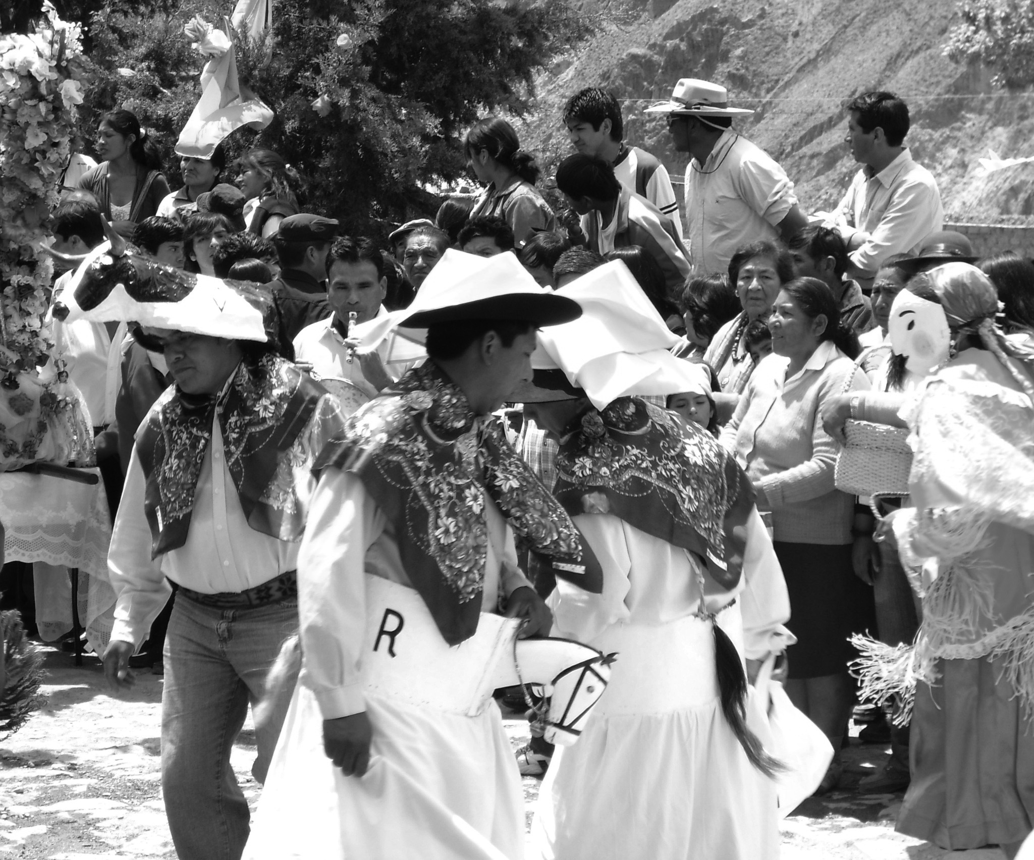 Caballitos y torito entrecruzándose en la adoración