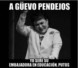 Embajadora en Educaci&oacute;n