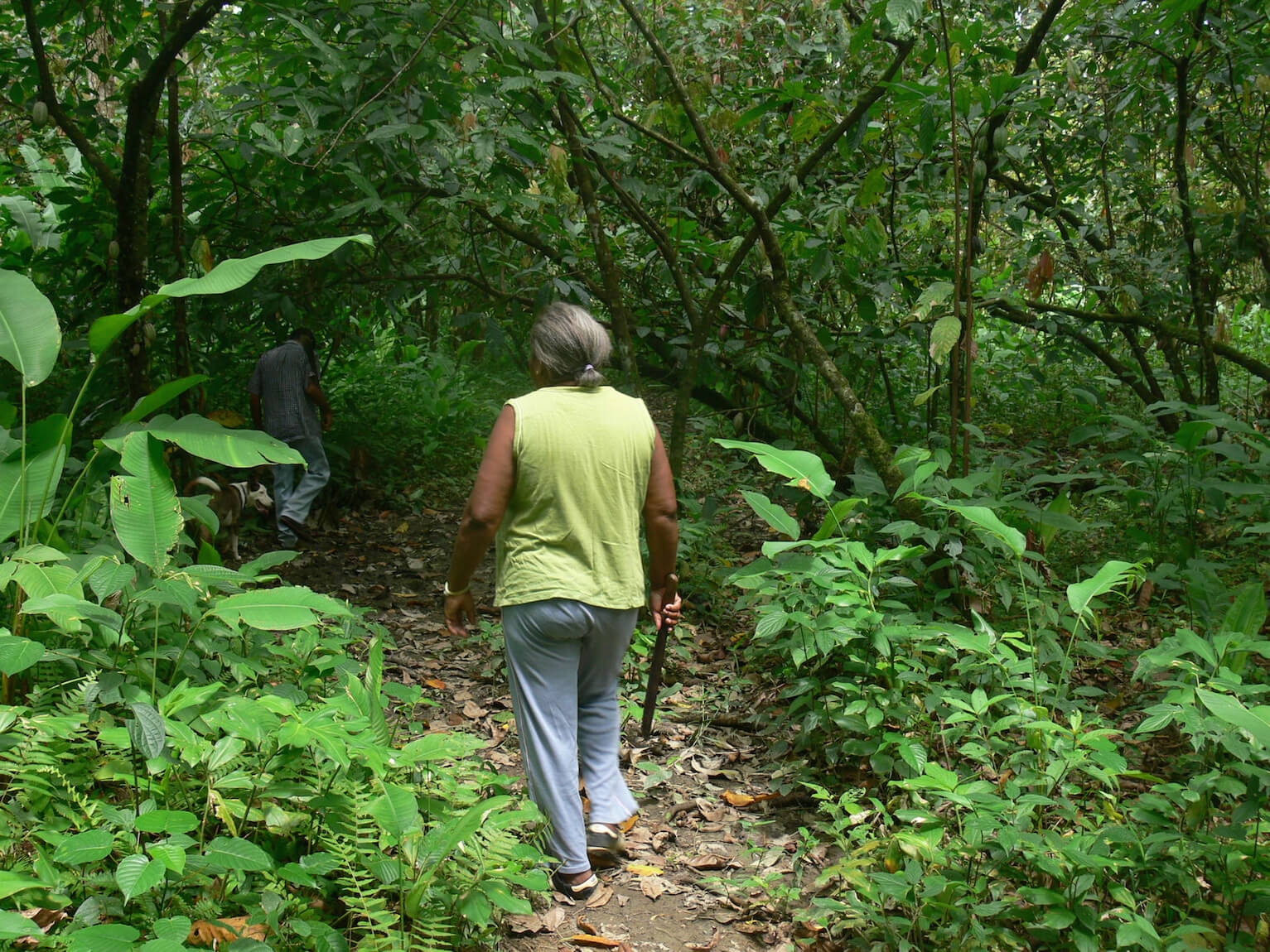 
		
	
	
		
			
				
					Mujer cacaotera de Panaquire 
				
			
		