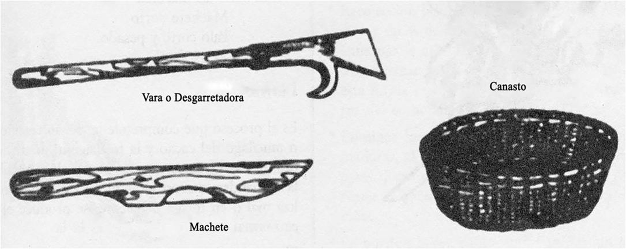 
		
	
	
		
			
				
					Instrumentos para la cosecha 
				
			
		