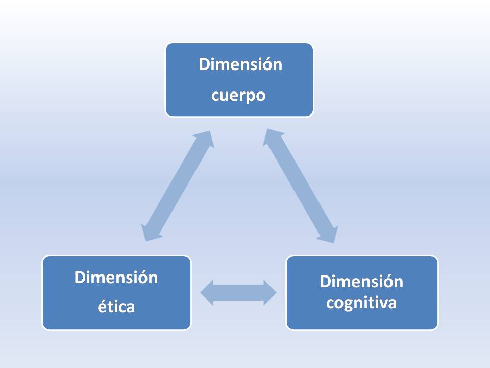 
		
	
	
		
			
				
					Matriz sociocultural de organizaciones
como una comunidad emocional 
				
			
		