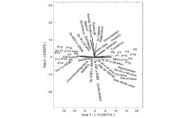 HJ-Biplot: Contribuci�n de las dimensiones de la prueba aplicada