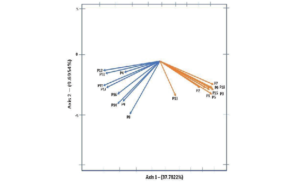 HJ-Biplot: Instrumento para medir las Actitudes de la poblaci�n en general hacia Personas con Orientaci�n LGBTI+, plano 1-2