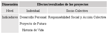 Dimensión Efectos y Resultados de los proyectos, niveles e indicadores