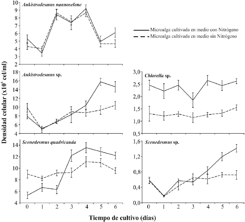 Densidad celular de las cinco especies
de microalgas cultivadas en medios con y sin nitr&oacute;geno durante seis d&iacute;as