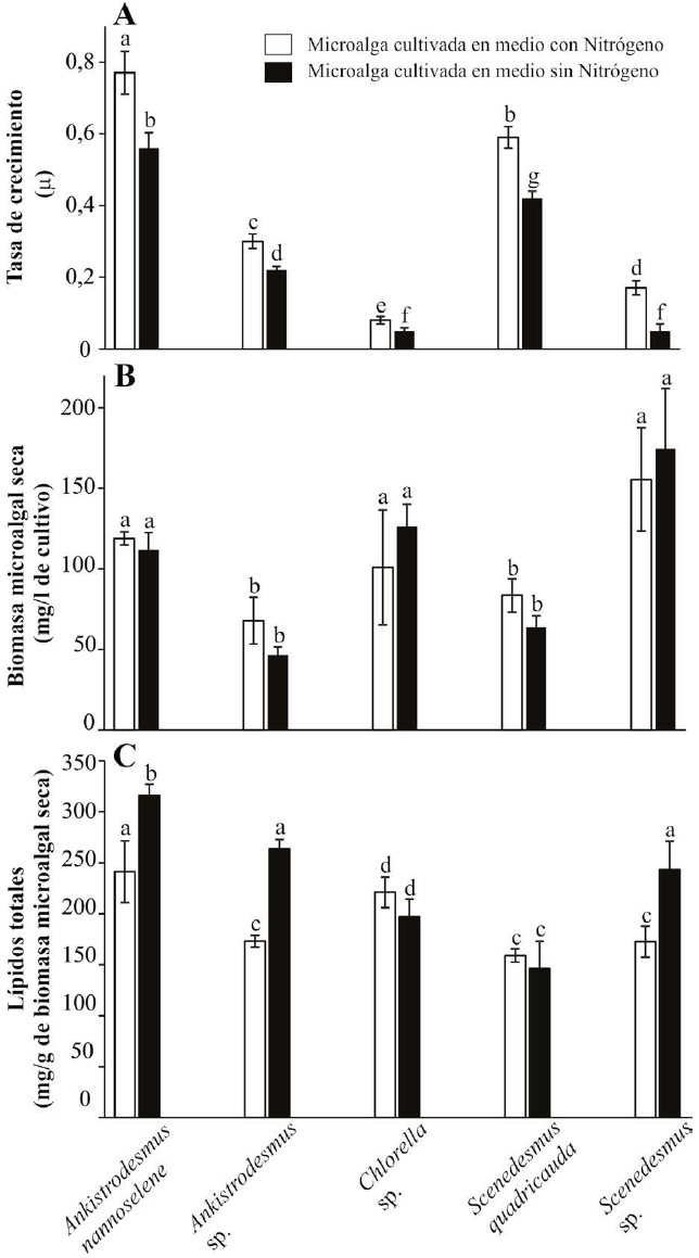A. Tasa de crecimiento. B. Producci&oacute;n
de biomasa. C. Contenido de l&iacute;pidos totales de las cinco especies de microalgas
evaluadas