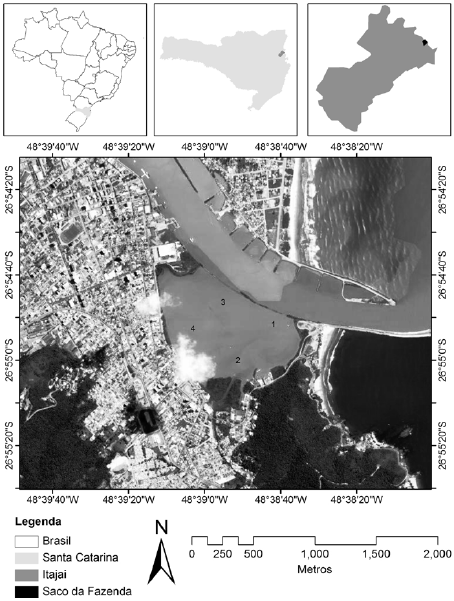 Localização geográfica do Saco da
Fazenda (imagen Google
Earth,
2013) e dos quatro pontos amostrais (1, 2, 3, 4). 