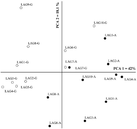 Principal component analysis (PCA) of
soil chemical attributes and leaf nutrient concentrations of  L. racemosa  (LAG), from studied mangrove areas of
Antonina (A) and Guaratuba (G), State of Paran&aacute;, Southern Brazil