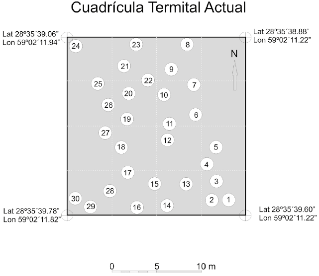Esquema de cuadr&iacute;cula con densidad de
termiteros f&oacute;siles y distribuci&oacute;n aproximada