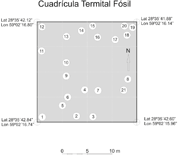 Esquema de cuadr&iacute;cula con densidad de
termiteros actuales y distribuci&oacute;n aproximada