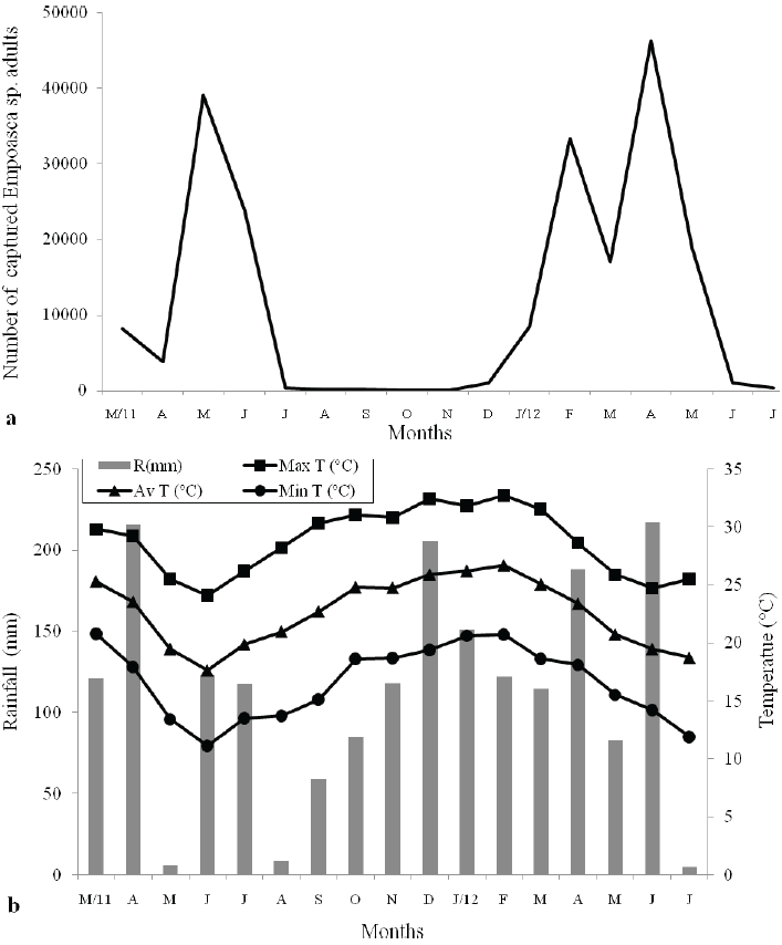 a. Adult  Empoasca  sp. population
dynamics and b. maximum, minimum and average temperatures and rainfall recorded
from March 2011 to July 2012 in a physic nut crop in Dourados region, MS,
Brazil