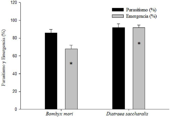 Parasitismo (%) y emergencia (%) de Tetrastichus howardi (Olliff) (Hymenopetra: Eulophidae) en pupas de Diatraea saccharalis (Lepidoptera: Crambidae) después
de multiplicarlo por tres generaciones en pupas de Bombyx mori (Lepidoptera:
Bombycidae) y D. saccharalis a 25
± 2 °C, 70 ± 10 % (HR) y 14 h de fotoperiodo. n (número de pupas) = 50/
tratamiento. *Indica diferencia significativa a 5 %.