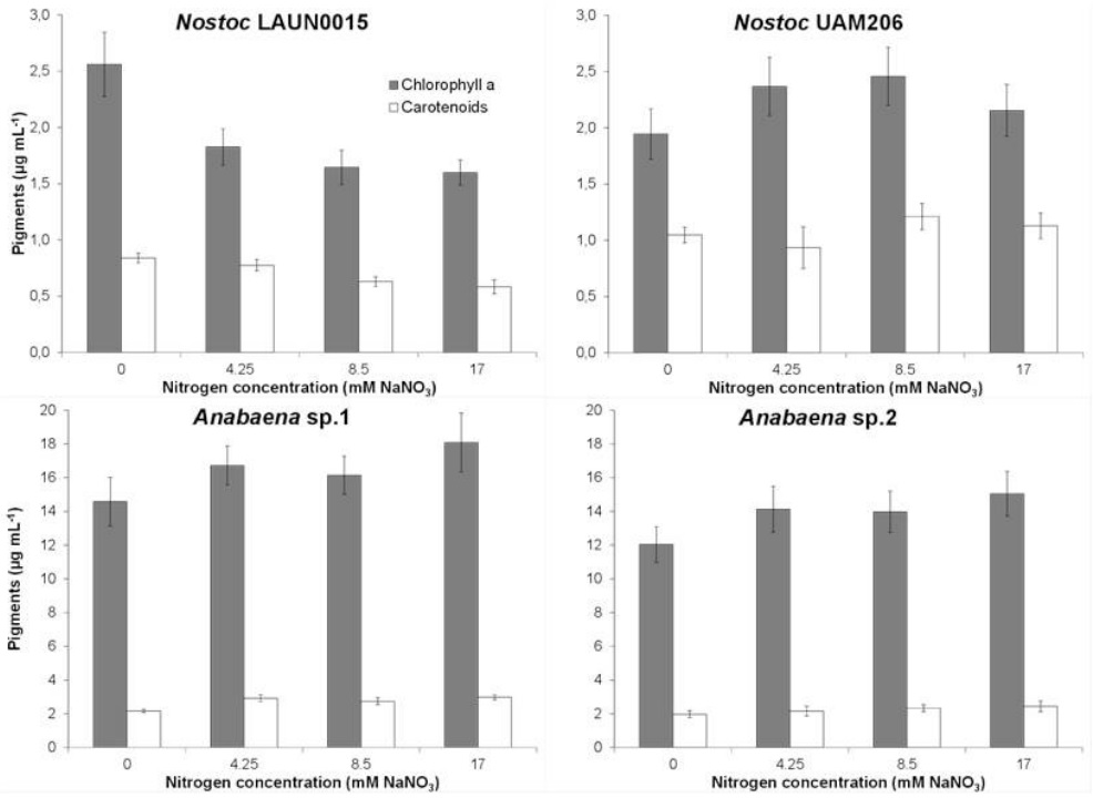 Liposoluble pigments: chlorophyll a and carotenoids (&micro;g mL-1) from Nostoc and Anabaena strains cultured
to different nitrogen concentration.