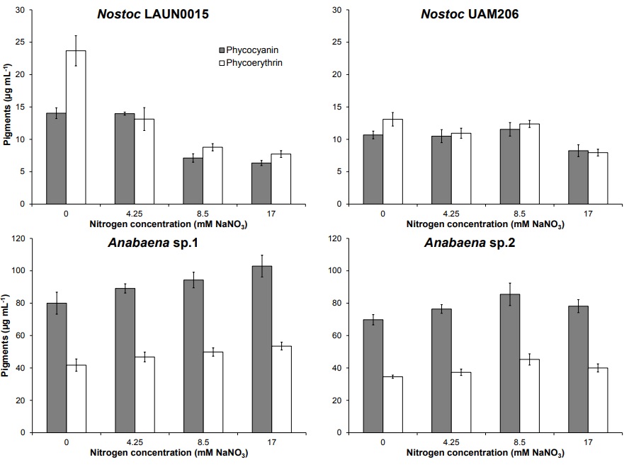 Hydrosoluble pigments: phycocianin and phycoerythrin (&micro;g mL-1) from Nostoc and Anabaena strains cultured to different nitrogen
concentration.