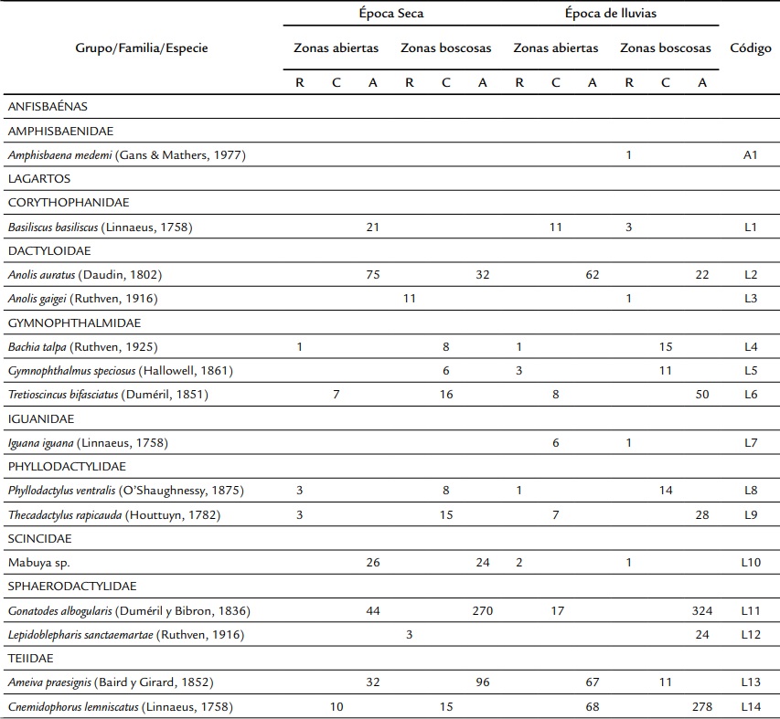 Lista de especies de reptiles del bosque seco tropical al norte de la regi&oacute;n Caribe, departamento del Cesar y su distribuci&oacute;n entre zonas
abiertas y boscosas y por &eacute;pocas clim&aacute;ticas. R, raras (< 5 ind), C, comunes (< 20 ind) y A, abundantes (> 20 ind).