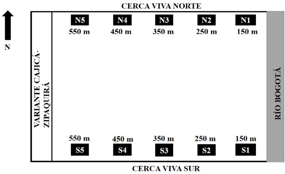 Esquema de la localizaci&oacute;n de los transectos y estaciones de muestreo dentro del campus de la Universidad Militar Nueva Granada.
La longitud aproximada de cada cerca viva es de 700 m.