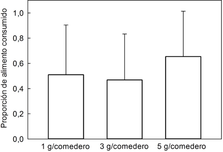Proporci&oacute;n de alimento consumido (consumo/cantidad
inicial en el parche) por Zonotrichia capensis (promedio &plusmn; desviaci&oacute;n
est&aacute;ndar) en parches con diferente densidad de alimento. No hubo
diferencias en la explotaci&oacute;n de los parches de acuerdo con la cantidad
inicial de alimento.