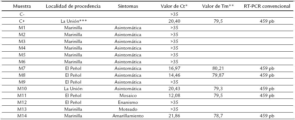 Detección por RT-PCR en tiempo
real (RT-qPCR) del Potato virus V (PVV) en tejidos foliares de S.
phureja procedentes de diferentes cultivos del Departamento de Antioquia
(Colombia)