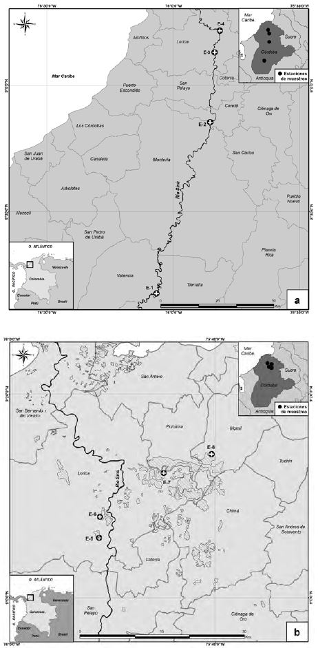 Área de
estudio y ubicación de las estaciones de muestreo en la cuenca del río Sinú,
departamento de Córdoba, Colombia