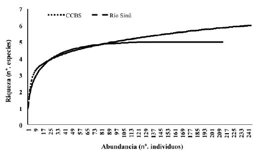 Curvas
de rarefacción para la acumulación de especies de crustáceos decápodos en el
río Sinú y el complejo cenagoso del bajo Sinú (CCBS) durante el periodo de
estudio